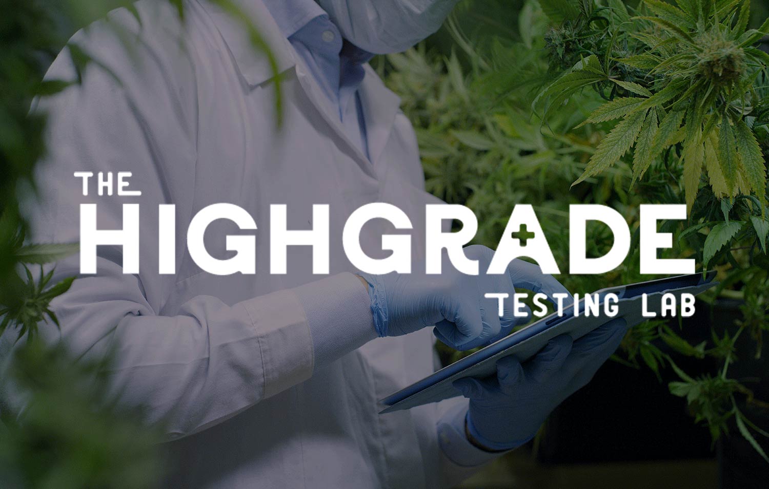 Best Cannabis Testing Labs in NJ, MD & OK | Highgrade Labs