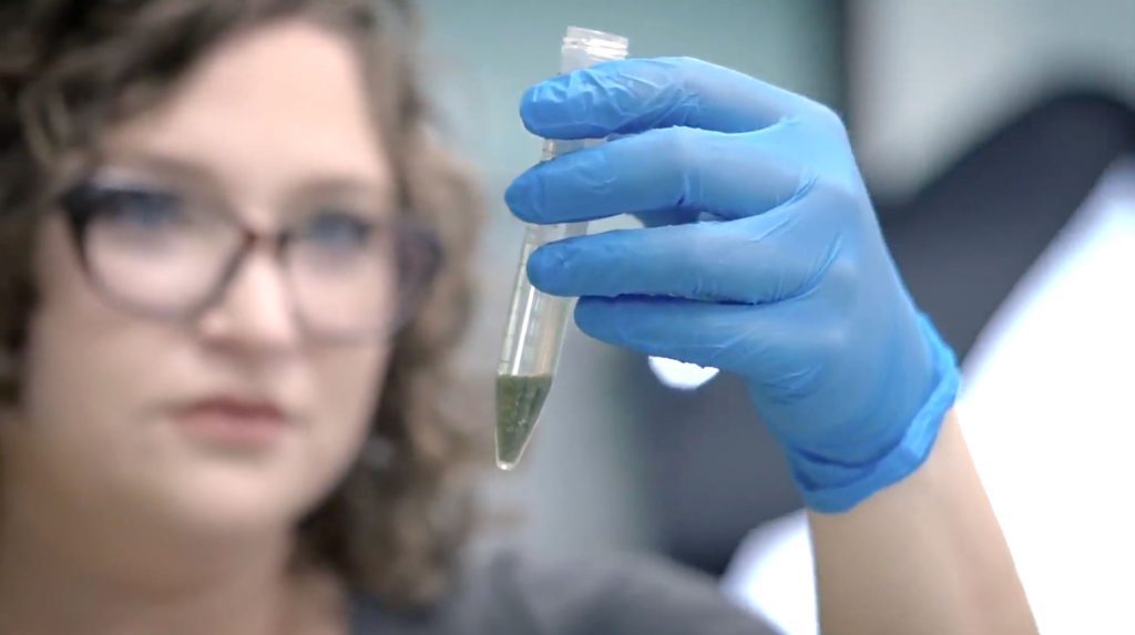 Cannabis Compliance & Lab Testing In Oklahoma: What You Need To Know ...