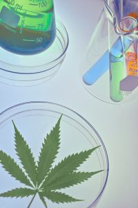 white and green cannabis textile next to lab beaker