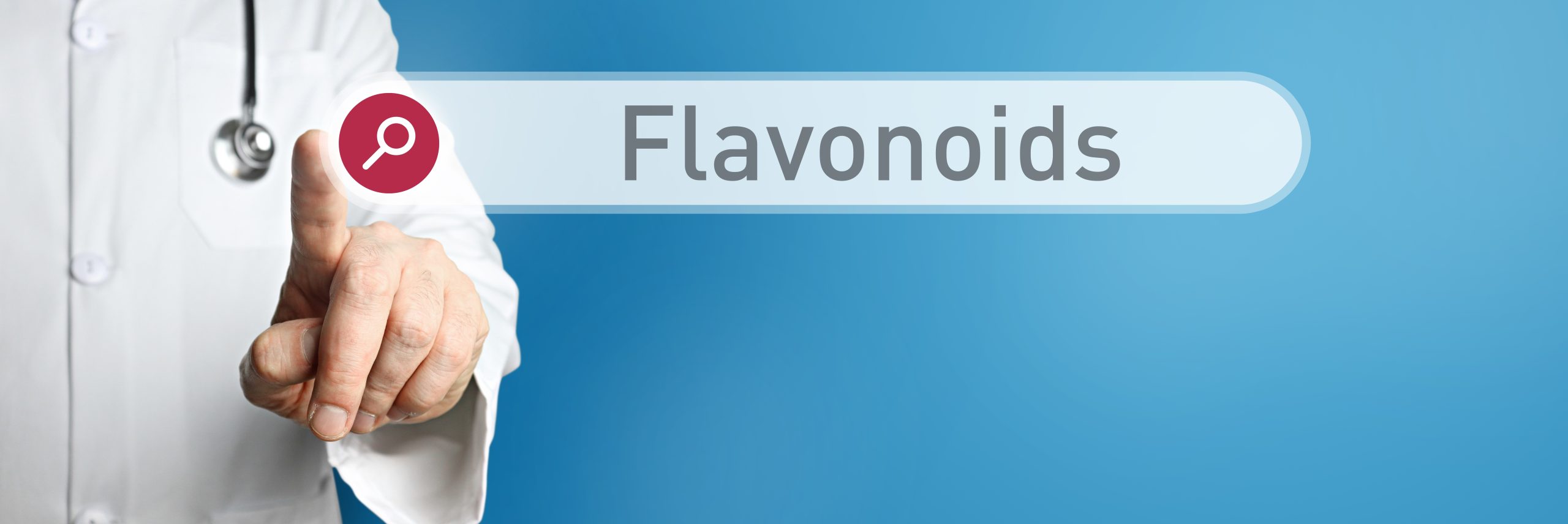 Flavonoids. Doctor in smock points with his finger to a search box. The word Flavonoids is in focus. Symbol for illness, health, medicine